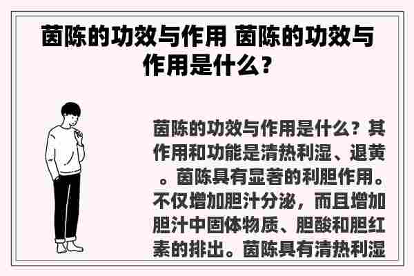 茵陈的功效与作用 茵陈的功效与作用是什么？